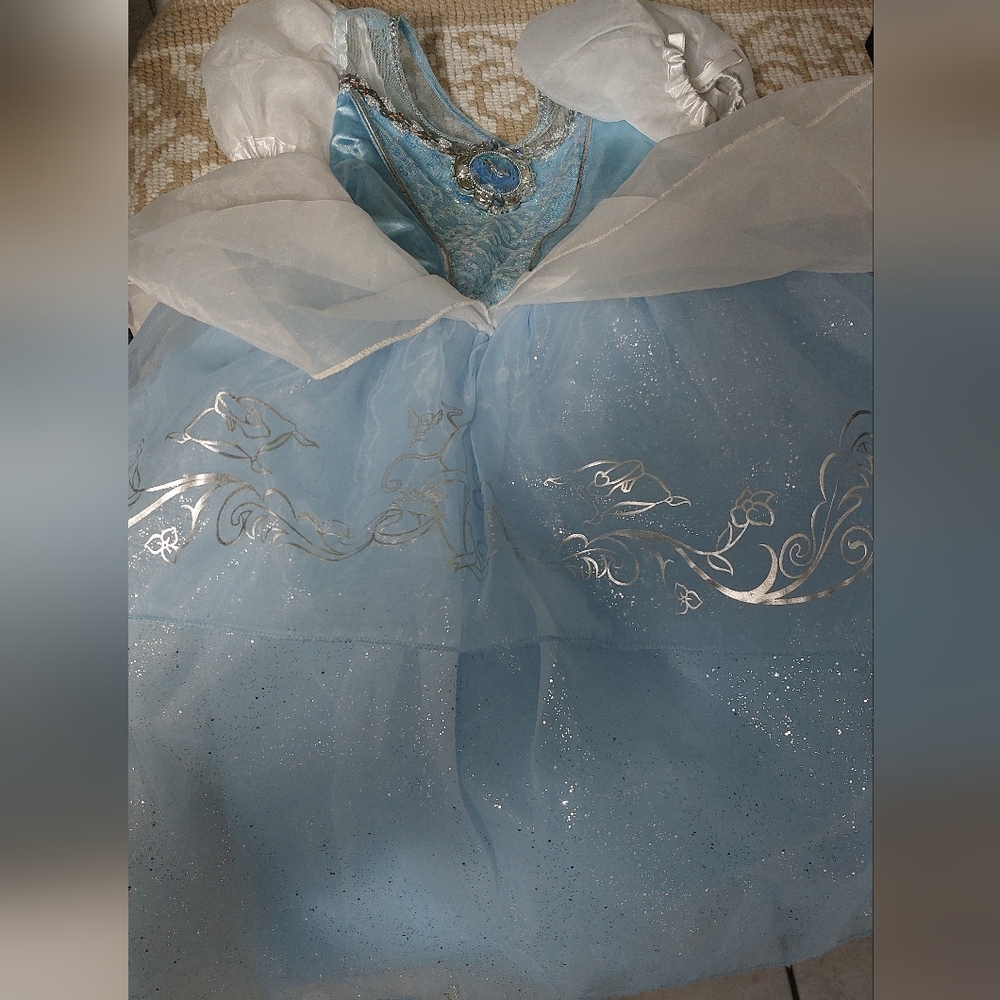 Cinderella toddler costume